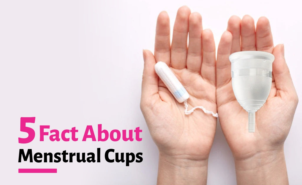 5 Fact About Menstrual Cups
