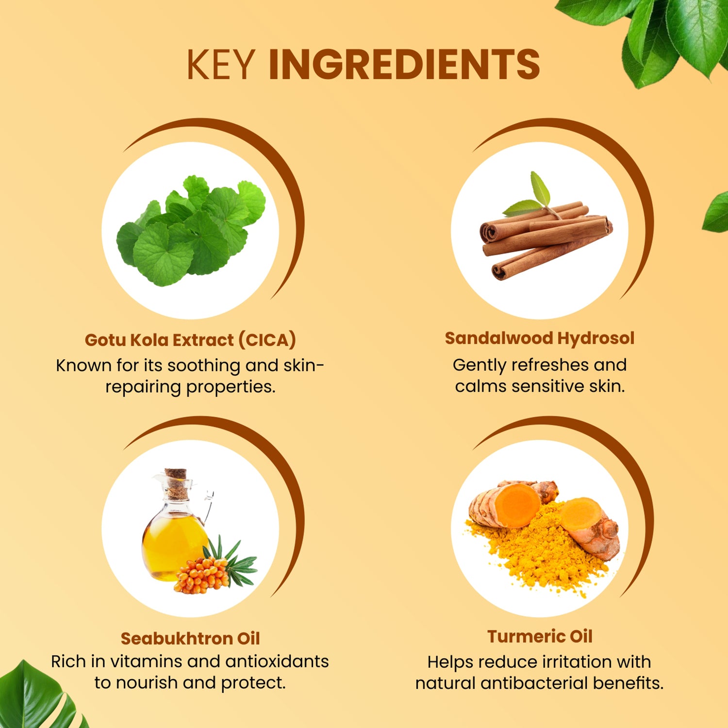 MildCares Haldi Chandan Intimate Hygiene Wash | Gentle Ayurvedic Cleanser for Women | pH Balanced – 100ml